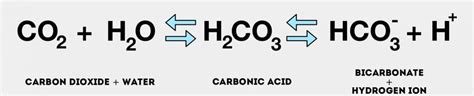 carbonic acid dissociation equation
